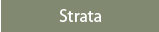 Strata